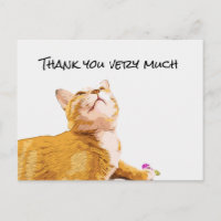 Ginger Cat Thank you card cat is looking up