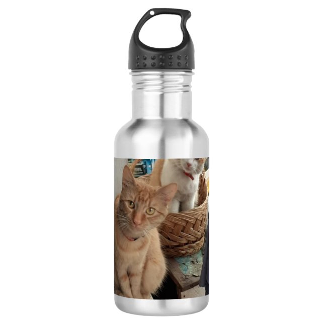 ginger cat water bottles (Front)