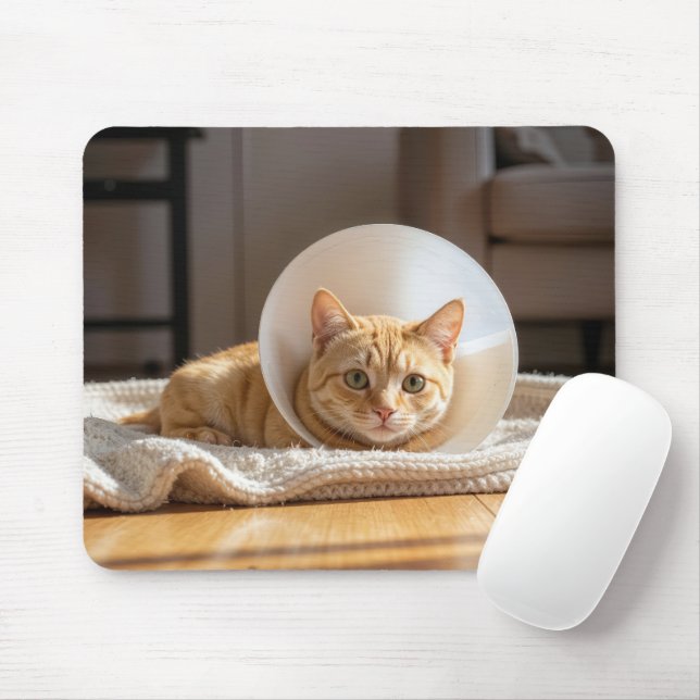 Ginger Cat Wearing a Cone of Shame Mouse Pad (With Mouse)