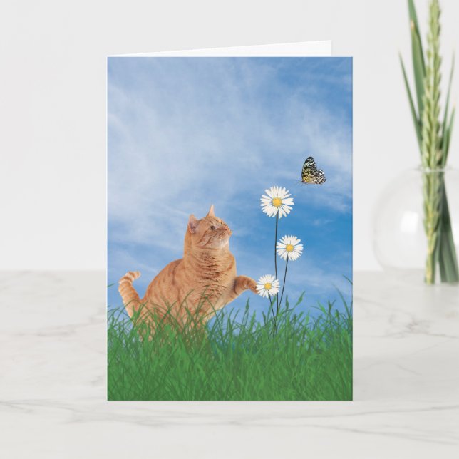 Ginger Cat With Daisy Birthday Card (Front)
