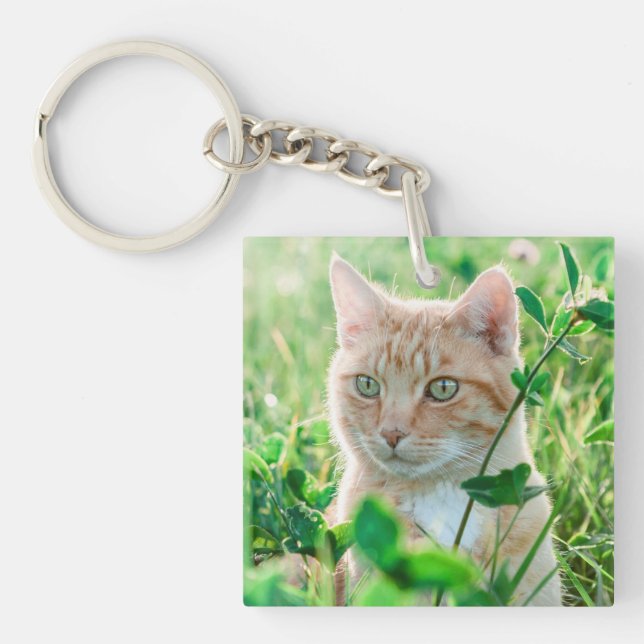 Ginger Cat with Green Eyes in Grass Key Ring (Front)