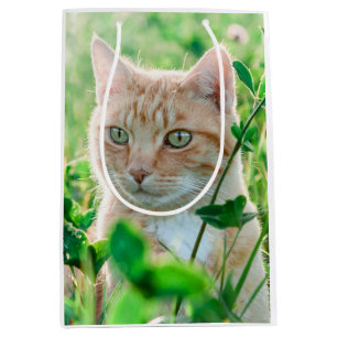 Ginger Cat with Green Eyes in Grass Medium Gift Bag