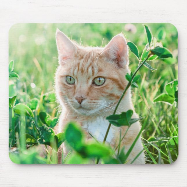 Ginger Cat with Green Eyes in Grass Mouse Pad (Front)
