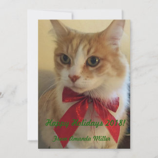 Ginger Cat with Red Ribbon Christmas Holiday Card
