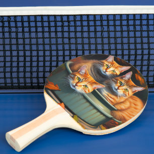 Ginger Cats Pot Plants, Ping Pong Paddle