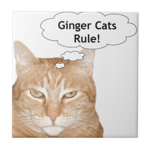 Ginger Cats Rule Tile