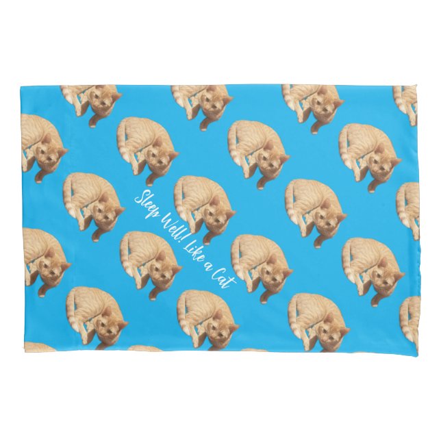 Ginger Cute Cat Photo Text Blue Red  Pillowcase (Front)