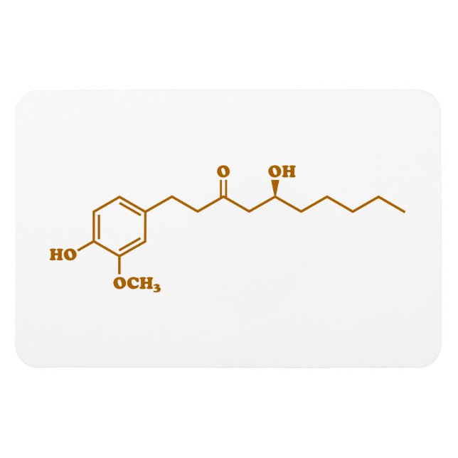 Ginger Gingerol Molecule Chemical Formula Magnet (Horizontal)
