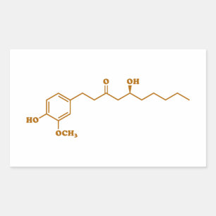 Ginger Gingerol Molecule Chemical Formula Rectangular Sticker