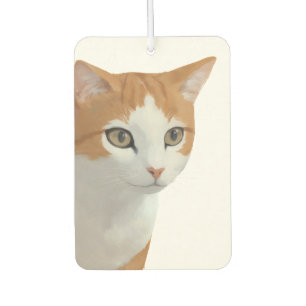 Ginger Glow Car Air Freshener