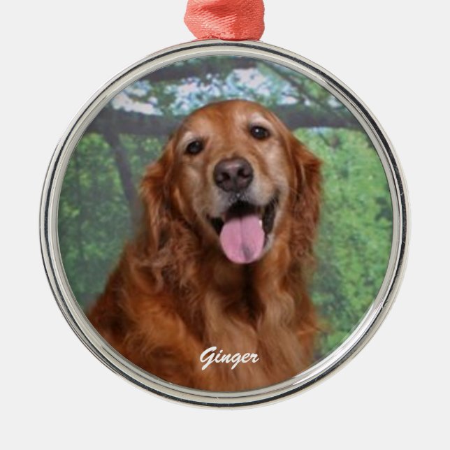 Ginger Golden Retriever Round Ornament, Custom Metal Ornament (Front)