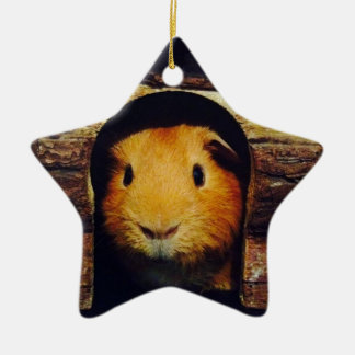 Ginger Guinea Pig Gifts Ceramic Ornament