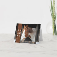 Ginger Horse on Farm Animal Lover