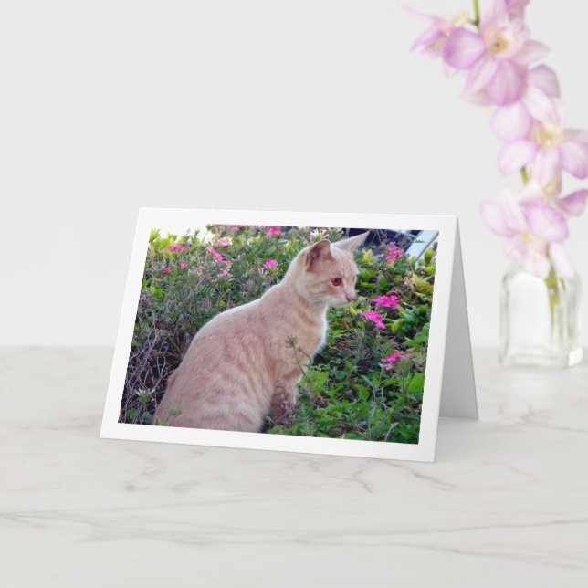 Ginger Kitten in Floral Card (Orchid)