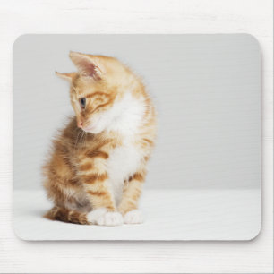 Ginger Kitten Mouse Pad