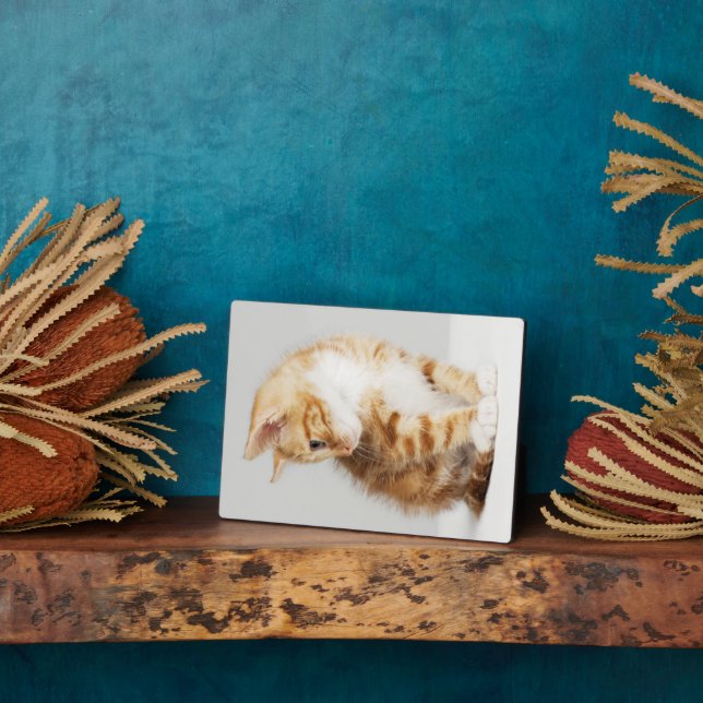 Ginger Kitten Plaque (Side)