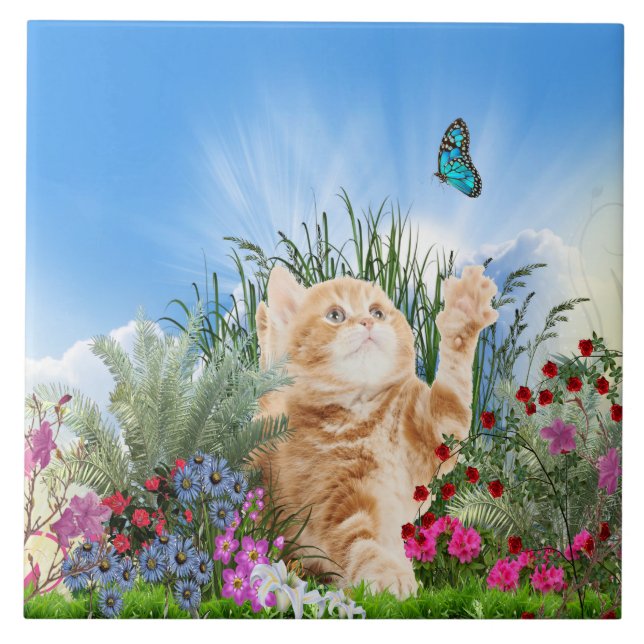 Ginger kitten playing with a butterfly ceramic tile (Front)