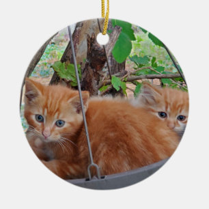 Ginger kittens ceramic ornament