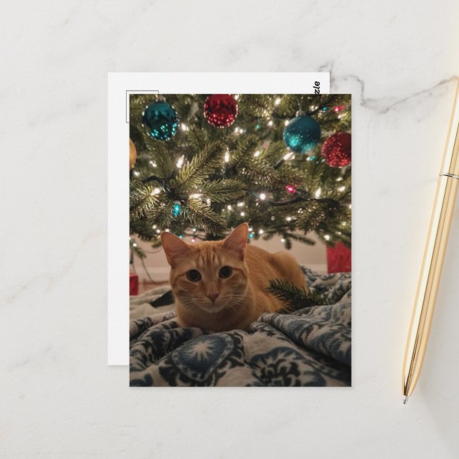 Ginger Kitty Under the Christmas Tree Postcard (Front/Back In Situ)