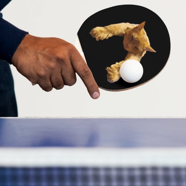 Ginger Lazy Cat, Ping Pong Paddle (Insitu)