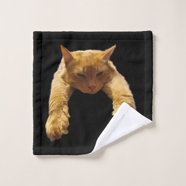 Ginger Lazy Cat, Wash Cloth (Wash Cloth)
