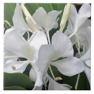 Ginger Lily Blossoms Ceramic Tile