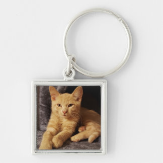 Ginger Orange Tabby Cat Keychain