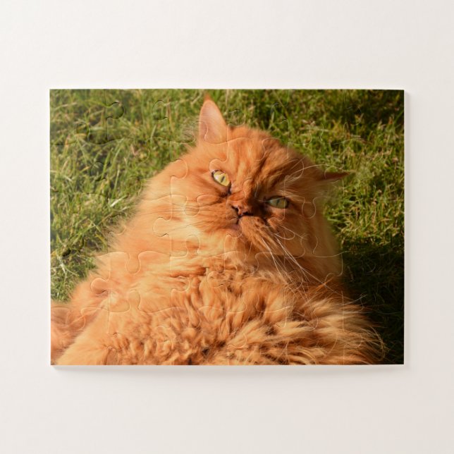 GINGER PERSIAN CAT JIGSAW PUZZLE (Horizontal)