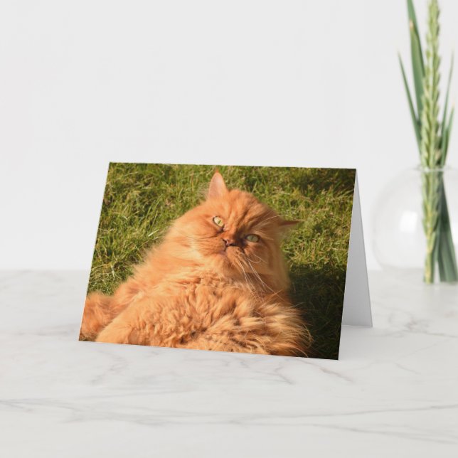 GINGER RED CAT "CHILL" HELLO ANY OCCASION CARD (Front)