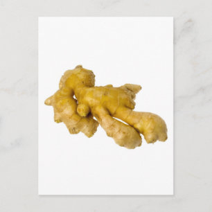 Ginger root postcard