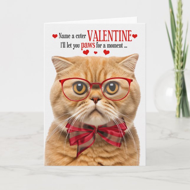 Ginger Scottish Fold Cat Valentine Feline Humour Holiday Card (Front)