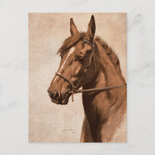 Ginger Sorrel Horse Black Beauty book Kemp-Welch Postcard
