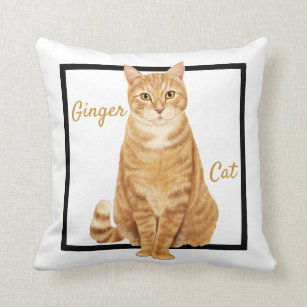 Ginger Tabby Cat Cushion