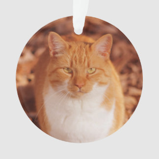 Ginger Tabby Cat Holiday Christmas Ornament