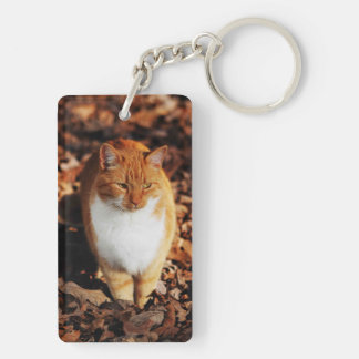 Ginger Tabby Cat Key Chain