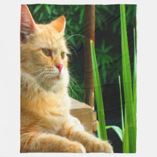Ginger Tabby Cat Meditation Fleece Blanket