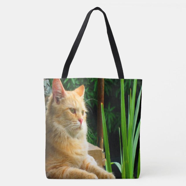 Ginger Tabby Cat Meditation Tote Bag (Front)