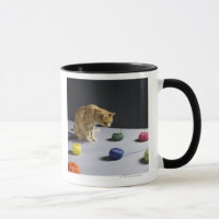 Ginger tabby cat sitting on table