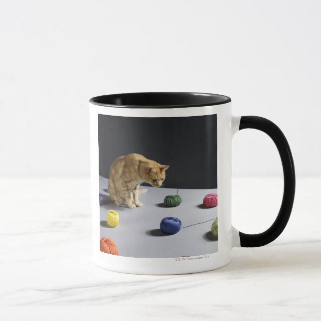 Ginger tabby cat sitting on table mug (Right)
