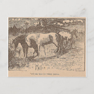 Ginger Told Us These Things Postcard