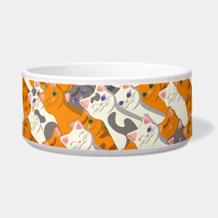 Ginger white black cat diagonal pattern