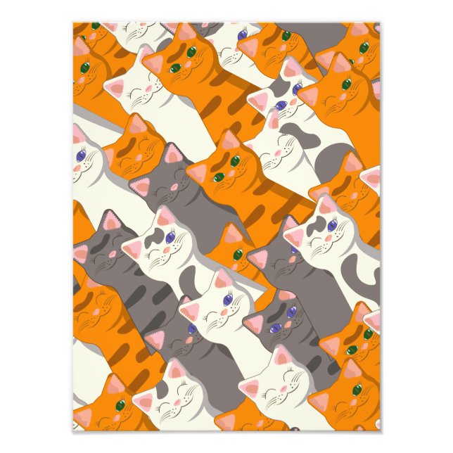Ginger white black cat diagonal pattern photo print (Front)