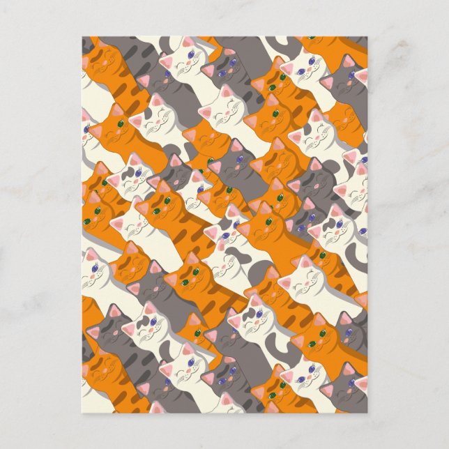 Ginger white black cat diagonal pattern postcard (Front)