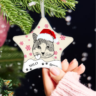 Ginger White Cat Personalized Hand Drawing Ceramic Ornament