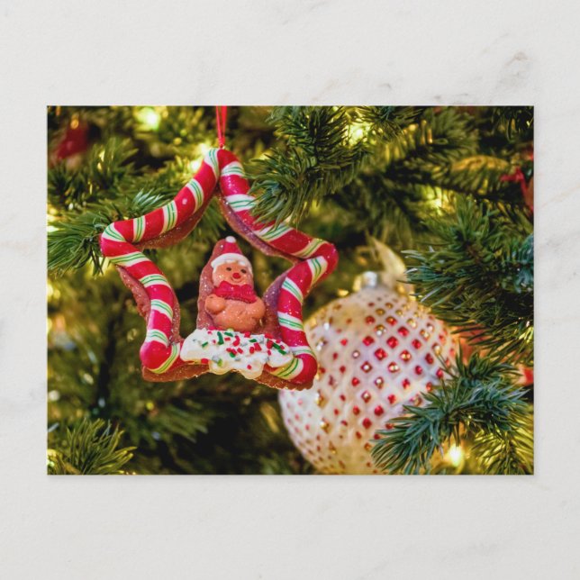 Gingerbread Christmas Ornament Postcard (Front)