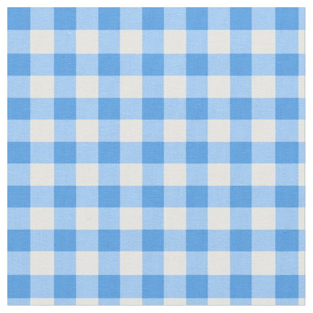 Gingham Checked Pattern | Blue And White Fabric (Close Up)