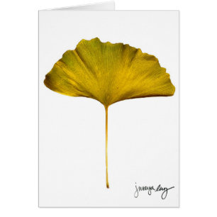 "Gingko" by J. Maya Luz