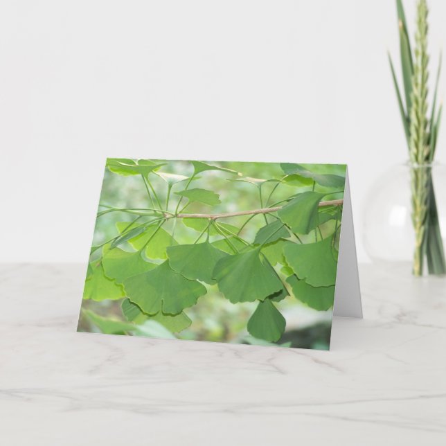 gingko card (Front)