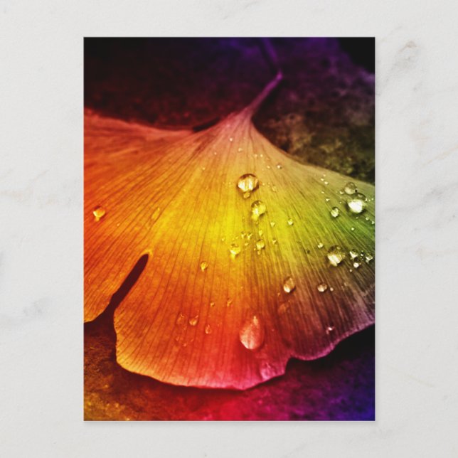 Gingko leaf multicolored by Tutti Postcard (Front)