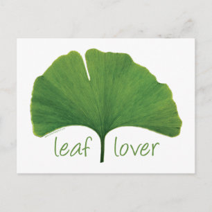 Gingko Leaf Postcard